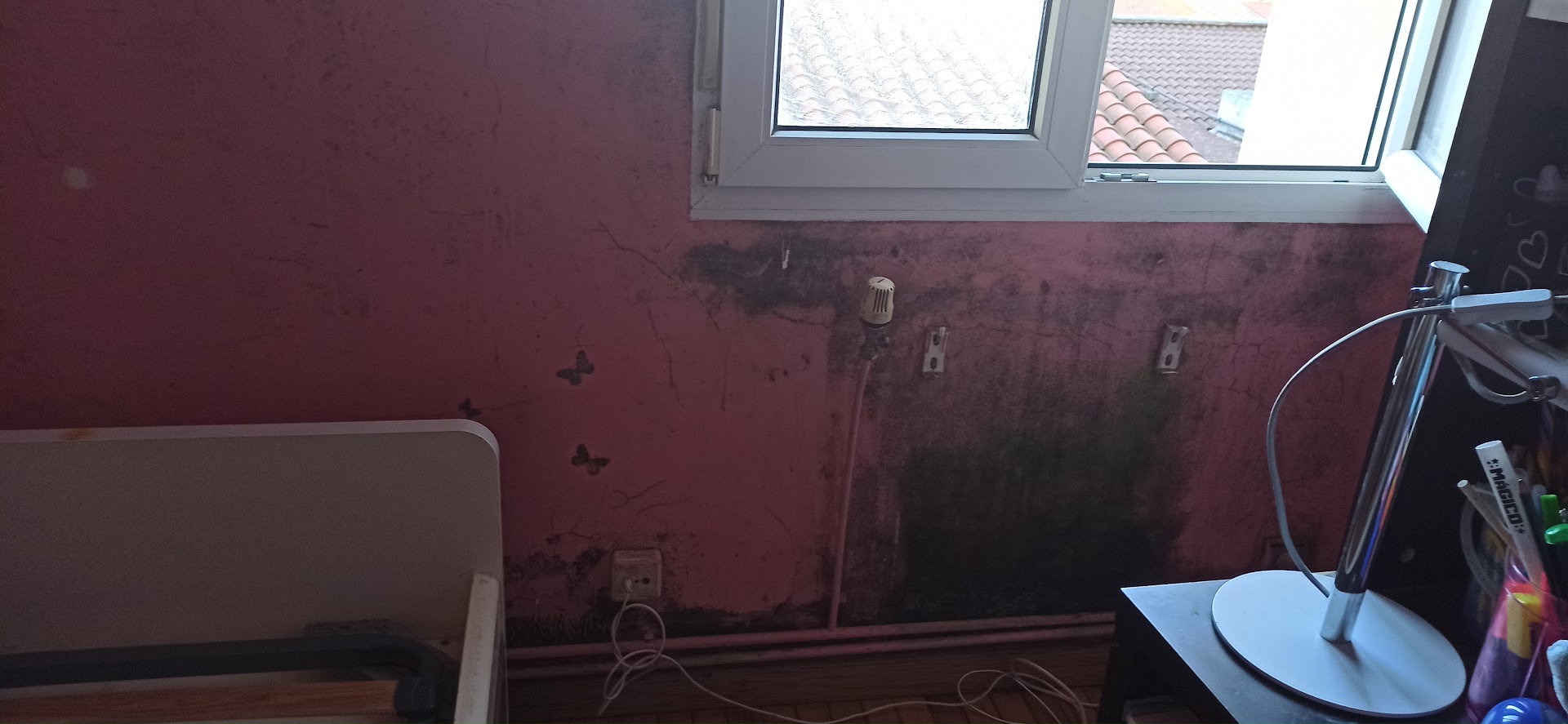 Pinturas Nisve — Fotos 3